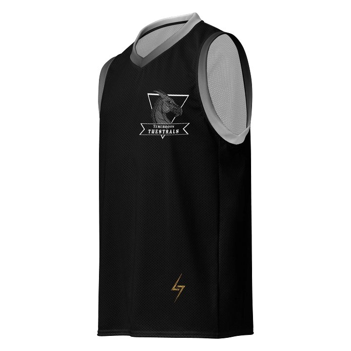 Tenebrous Thestrals Team Jersey product image (1)