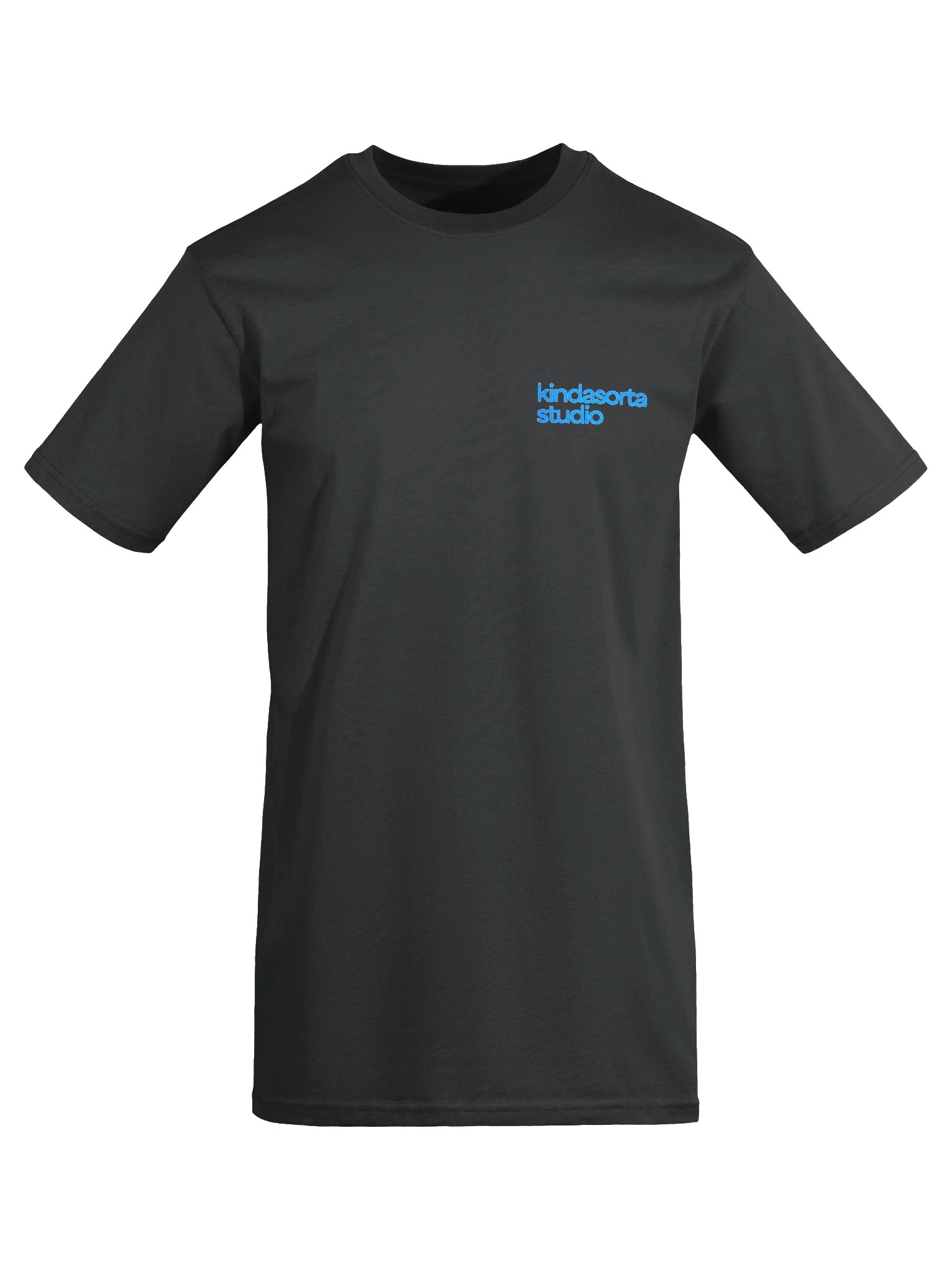 kindasorta heavyweight tee product image (7)