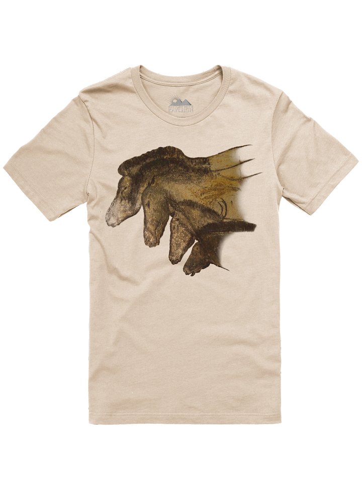 Chauvet Horses Unisex t-shirt product image (62)