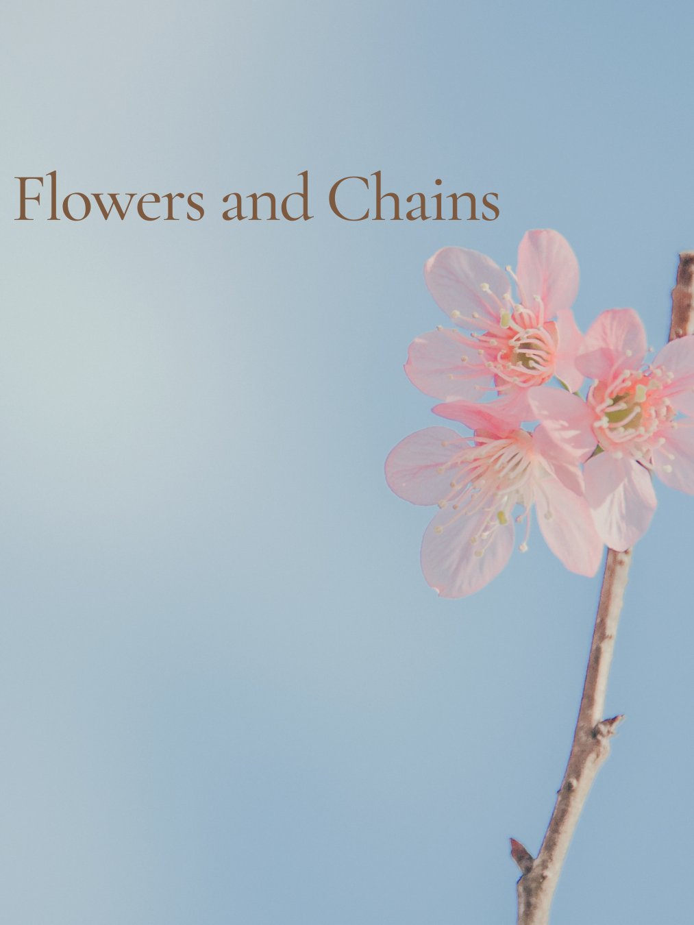 -FC- product image (1)