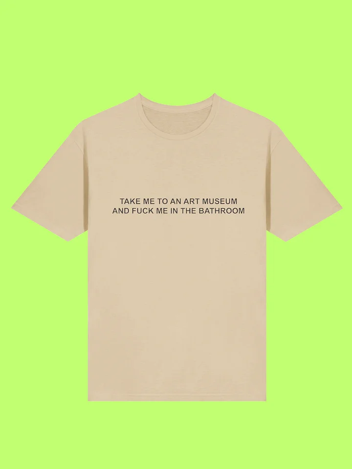 Take Me To An Art Museum And Fuck Me In The Bathroom Shirt product image (169)
