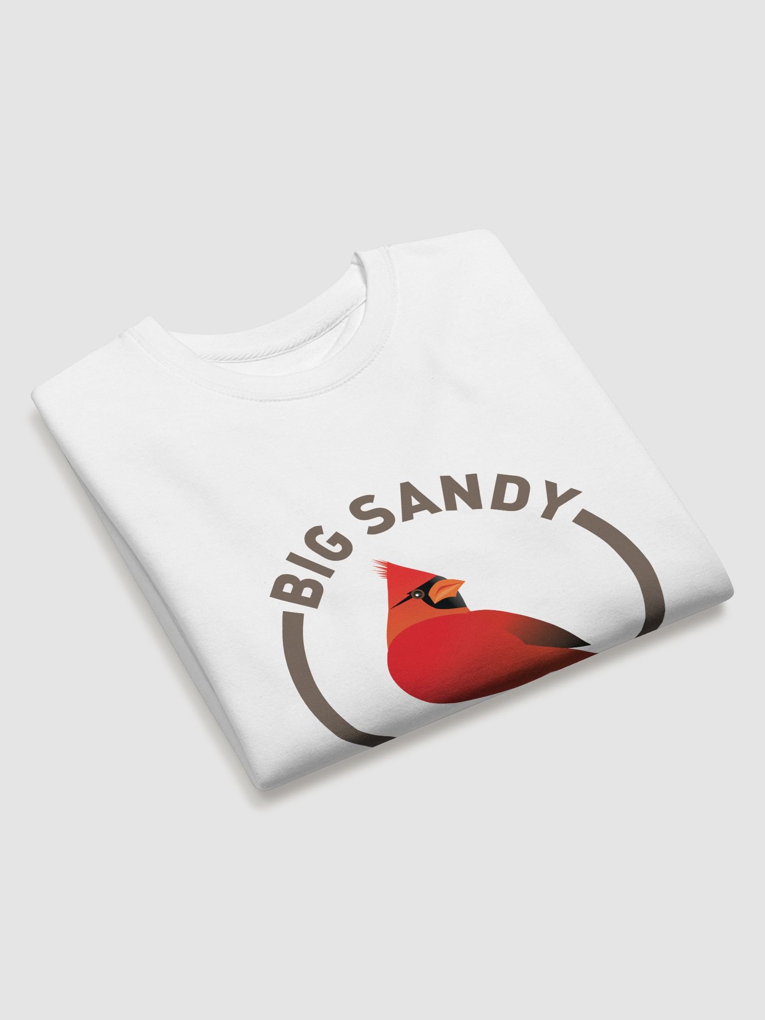 Big Sandy Press Logo product image (39)
