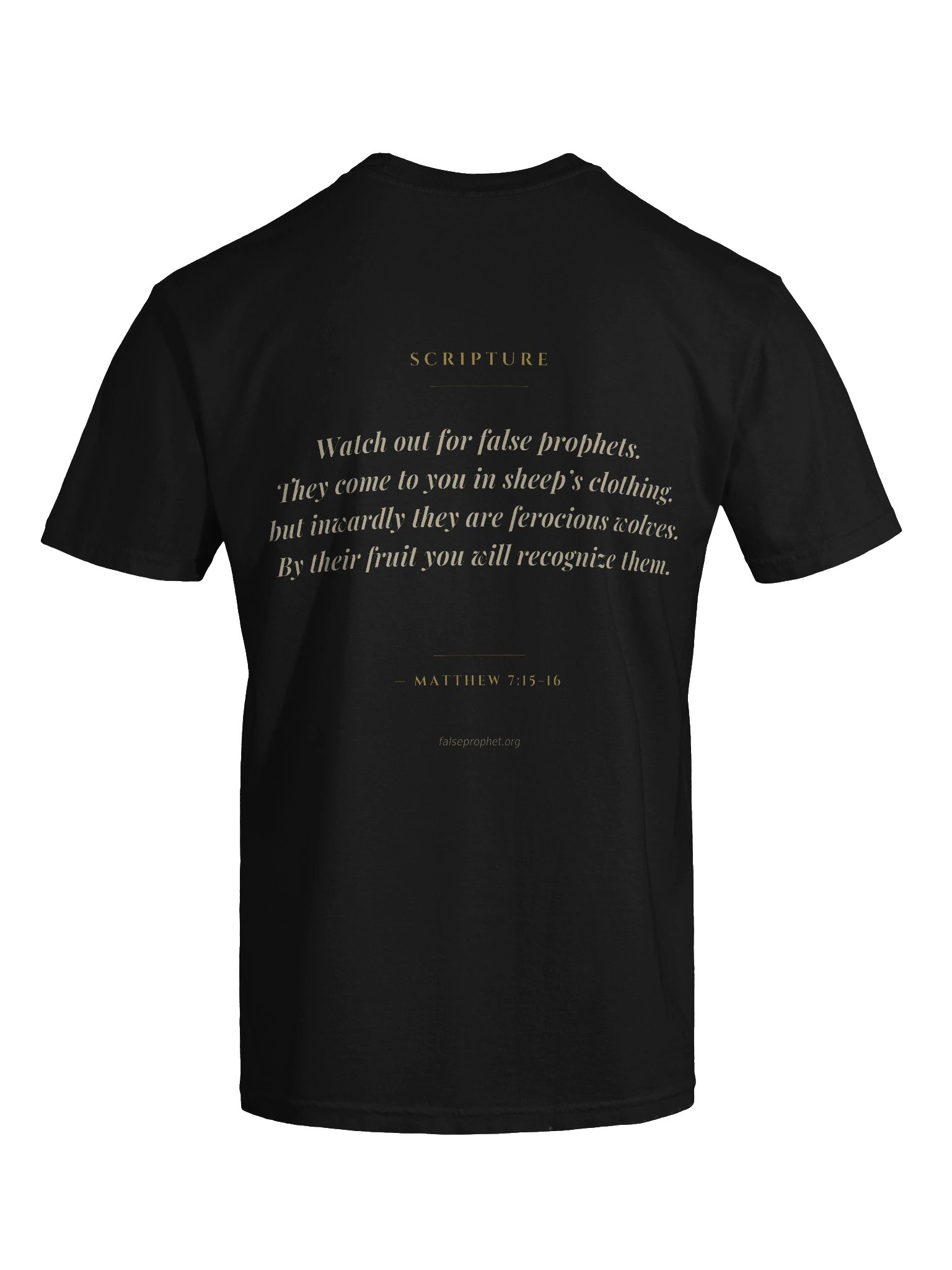 Matthew 7:15/Beware False Prophets T-Shirt (Black) product image (7)
