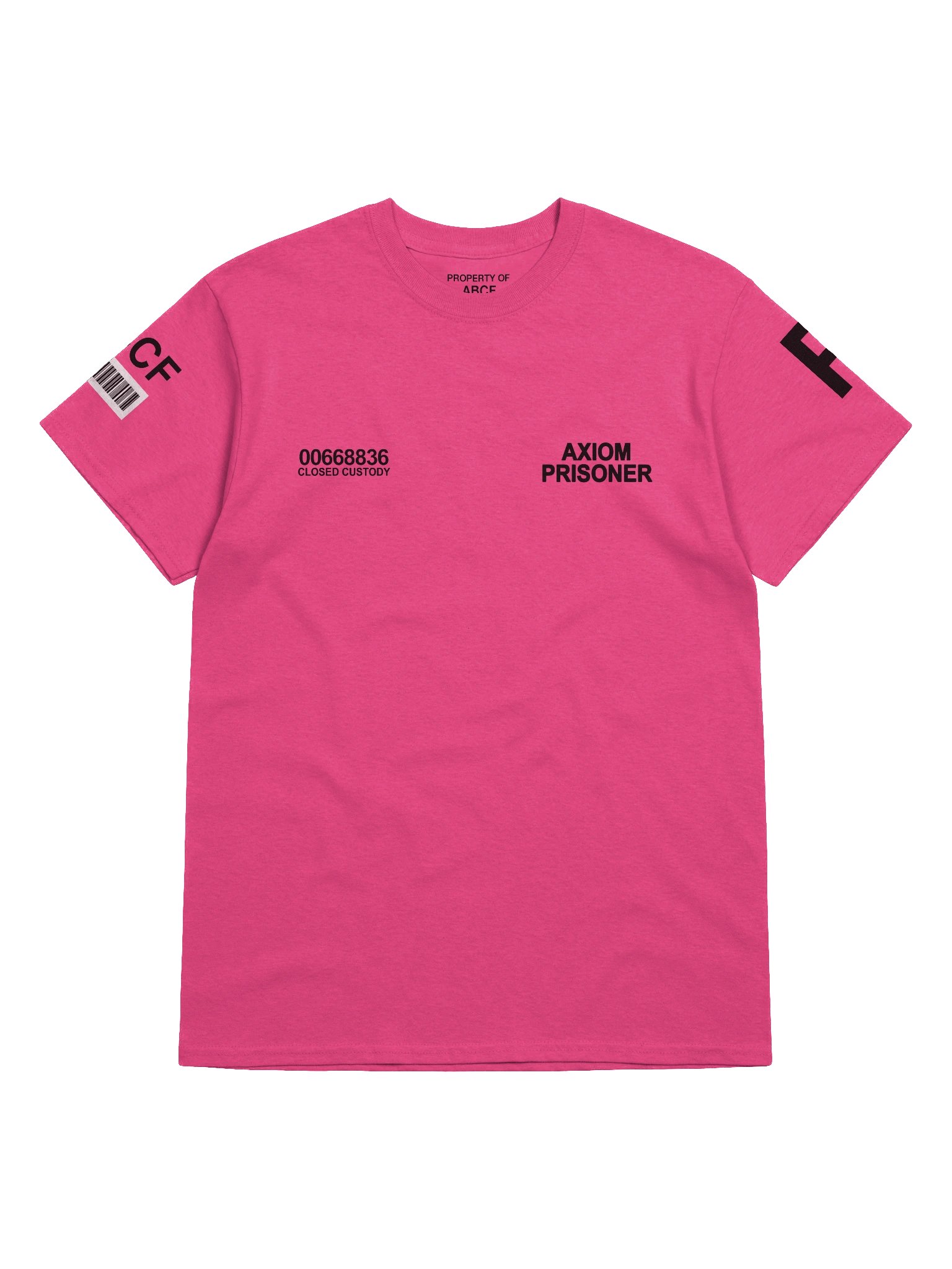ABCF Standard Issued Maximum Security T-Shirt product image (5)