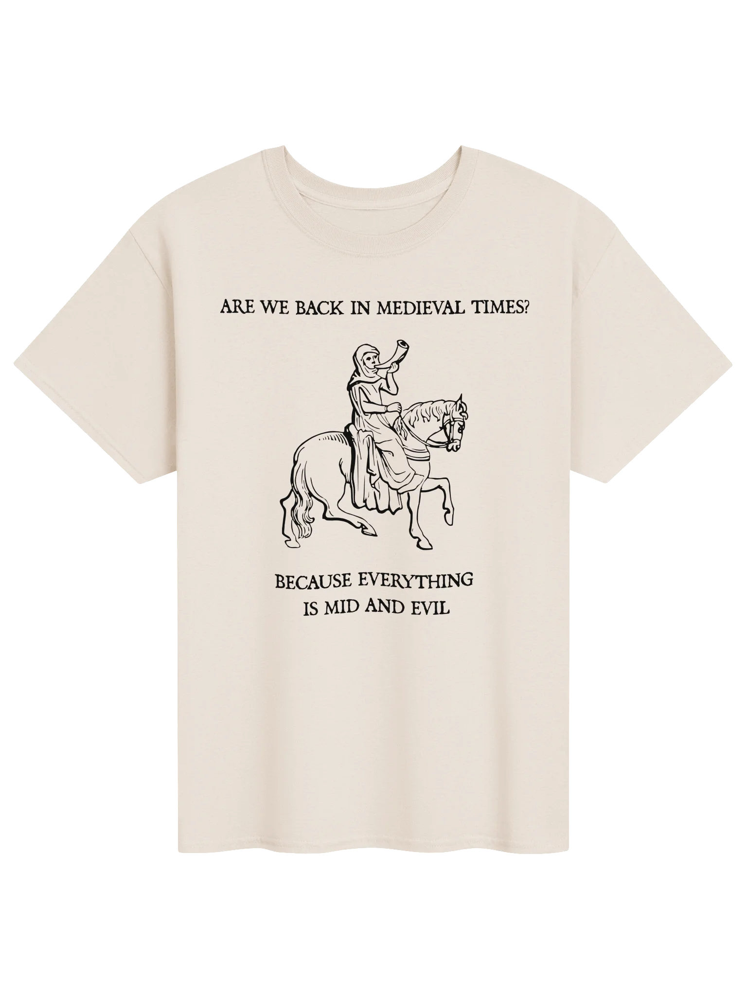 ARE WE BACK IN MEDIEVAL TIMES? BECAUSE EVERYTHING IS MID AND EVIL product image (51)