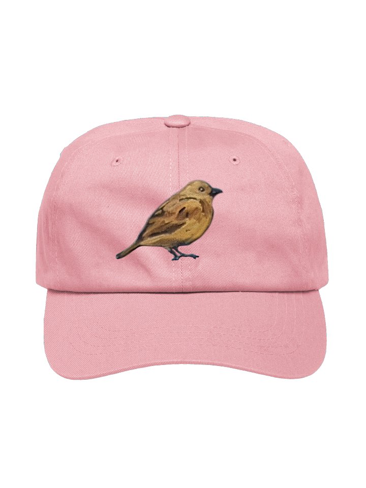 LIMITED-EDITION PINK! Yellow-Hammer Helm hat, fine-art inspired baseball cap product image (1)