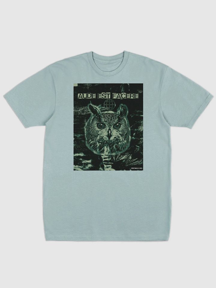 Aude est facere streetwear product image (1)