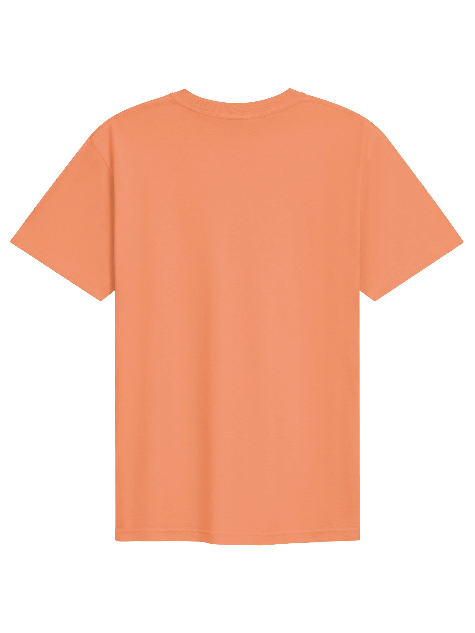 Bearnicio Del Toro | Fear & Loathing product image (10)