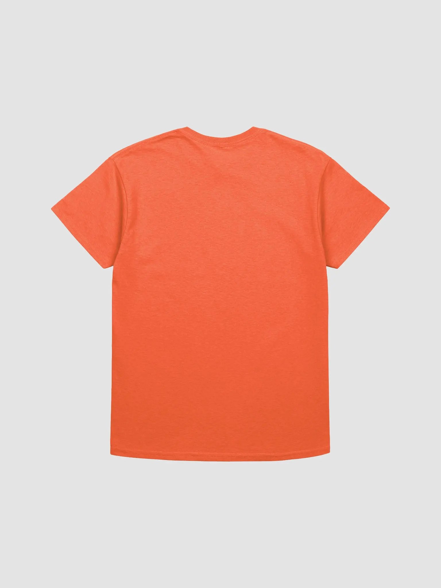 Picky Boys Est. 2019 T-Shirt (8 Colors) product image (3)