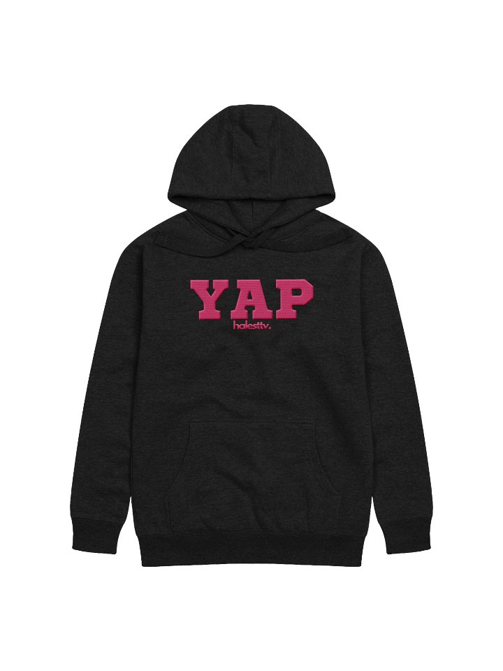 YAP embroidered hoodie product image (2)