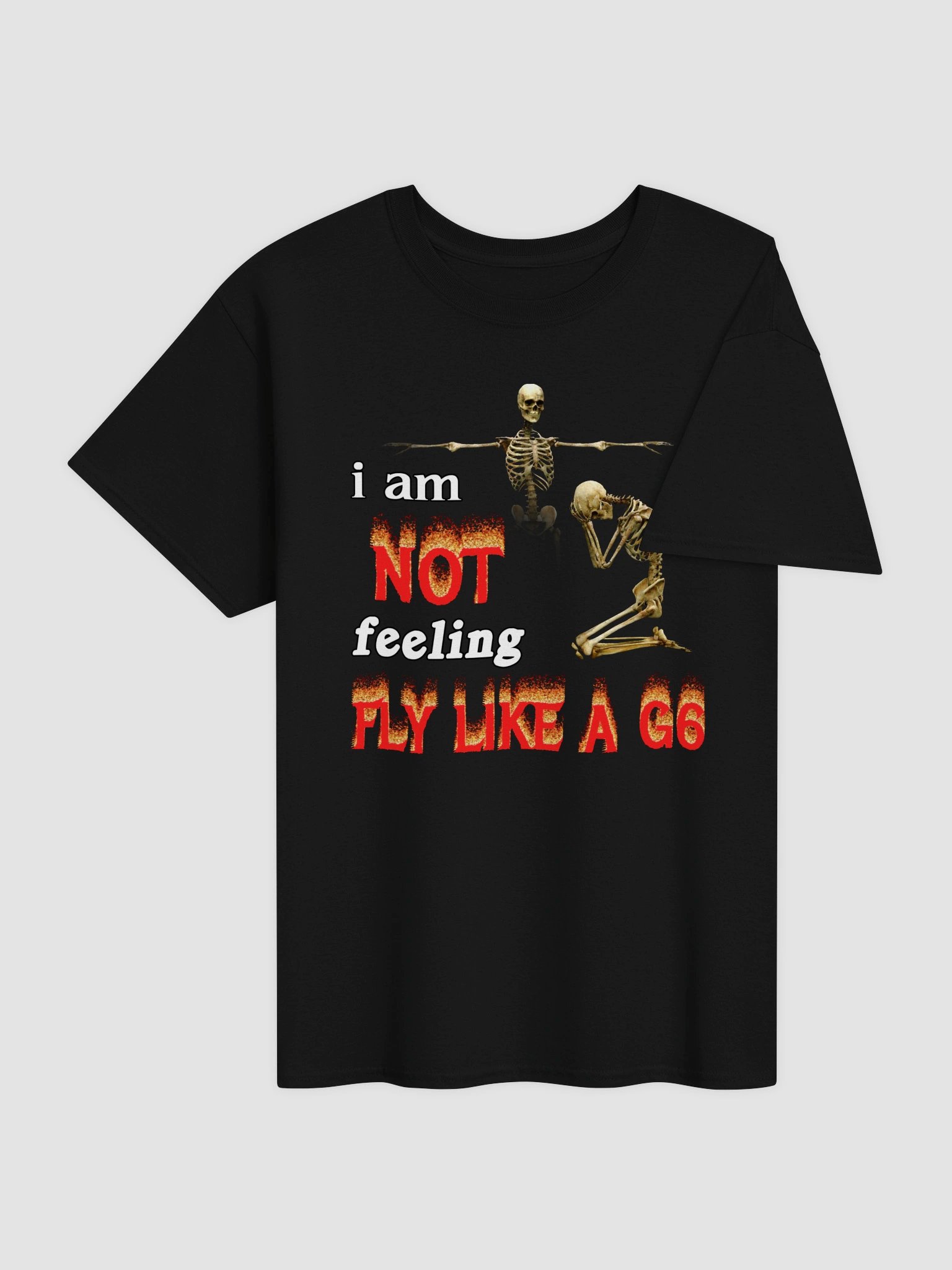 I am NOT feeling fly like a G6 T-shirt product image (4)