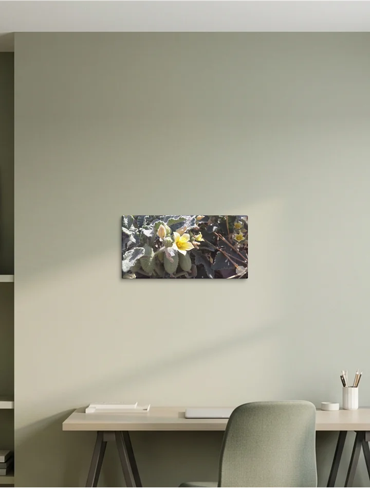P. Dipsaceus - Canvas Fine Art product image (1)
