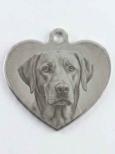 Dog Hear 2 product image (1)