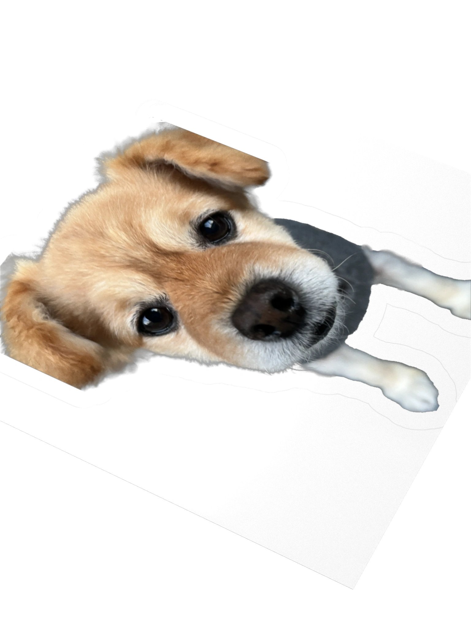 Concerned for You product image (8)