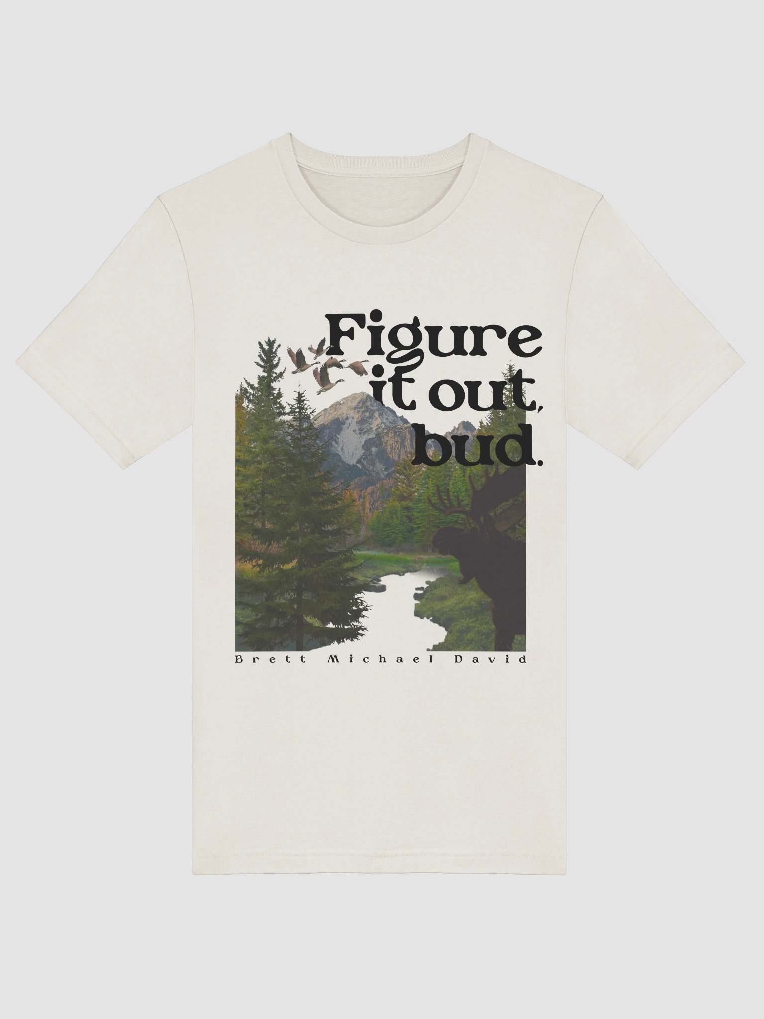 Figure It Out T-Shirt product image (41)