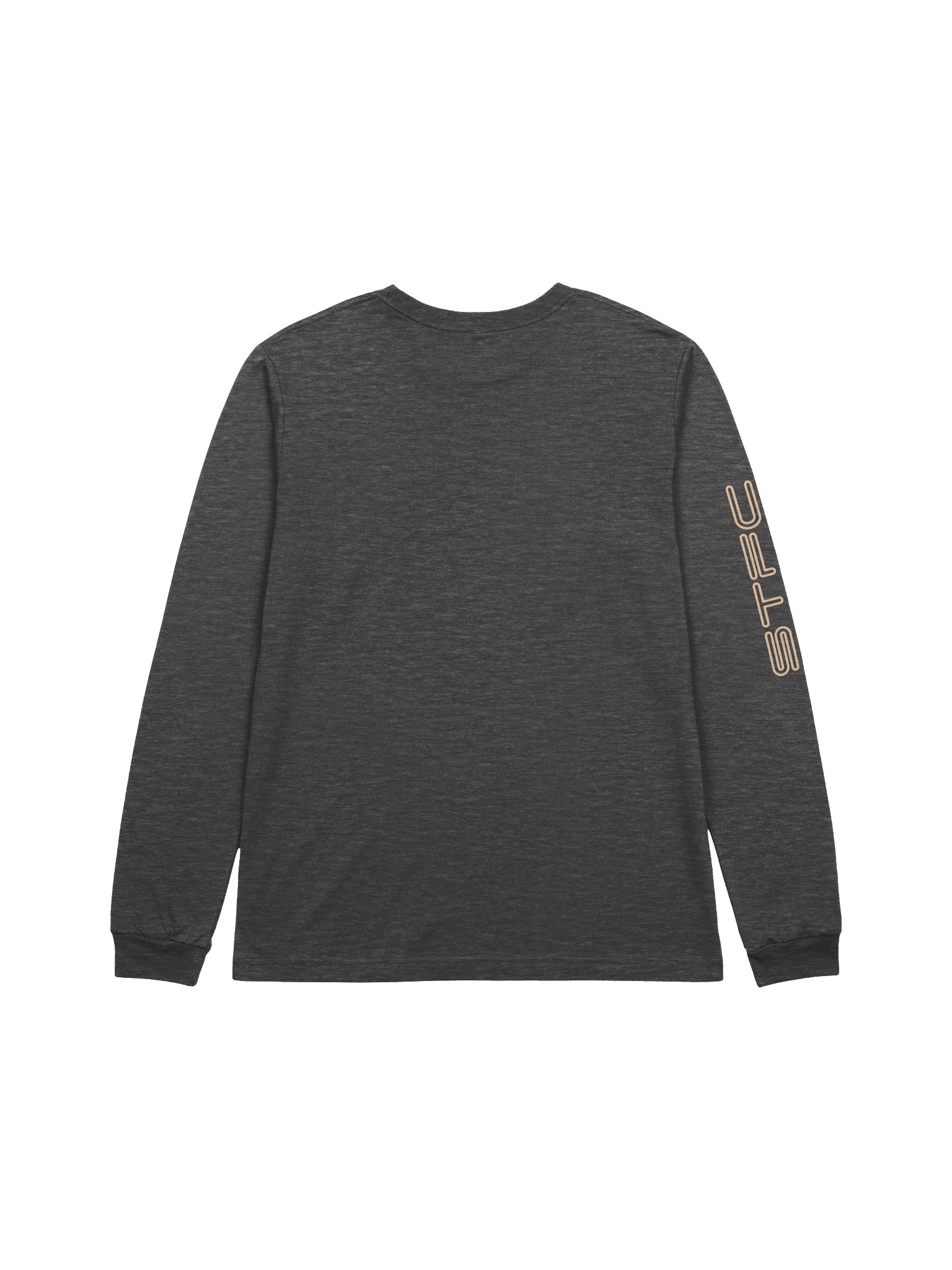 Longsleeve | STFC Data Logo product image (2)