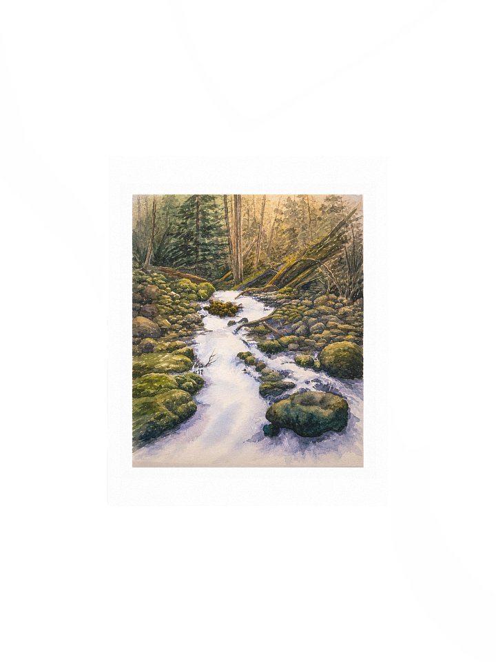 Forest Creek product image (1)