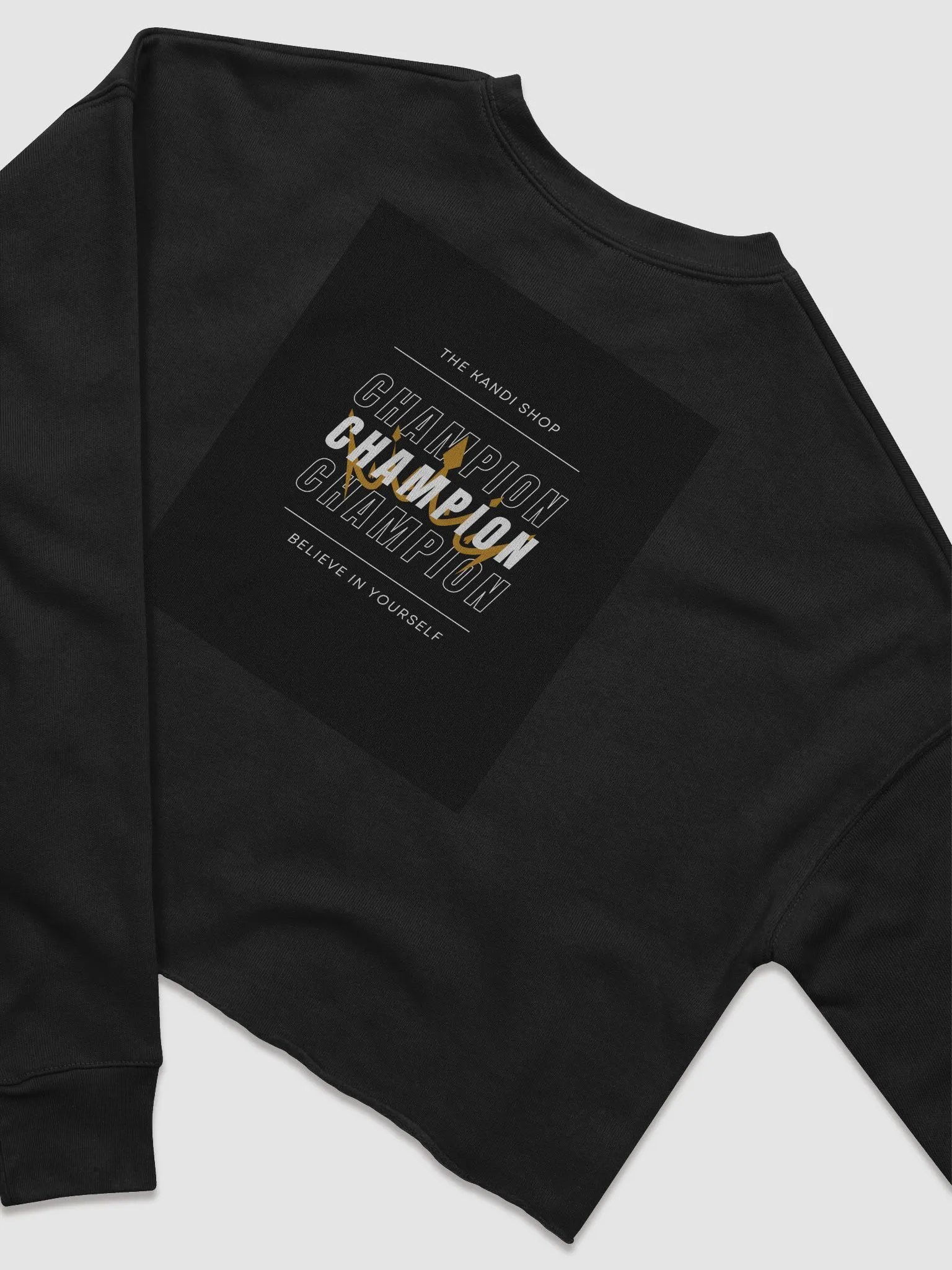 Believe Champion Crop Sweater product image (7)