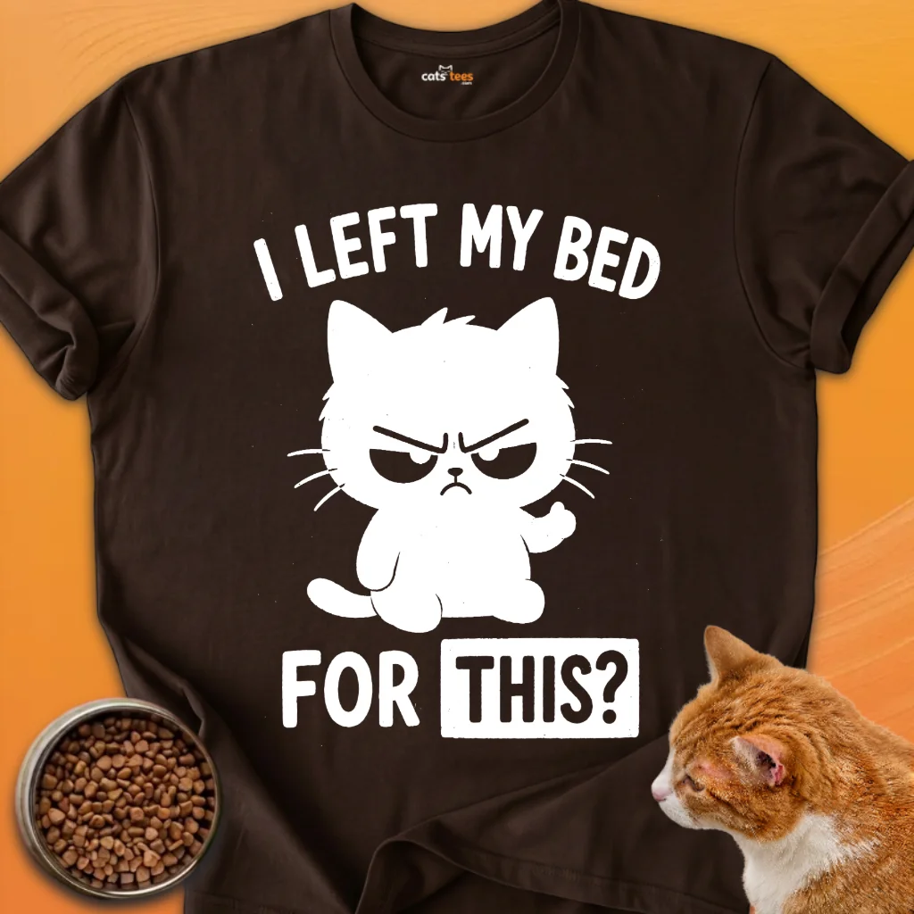 I Left My Bed For This? product image (2)
