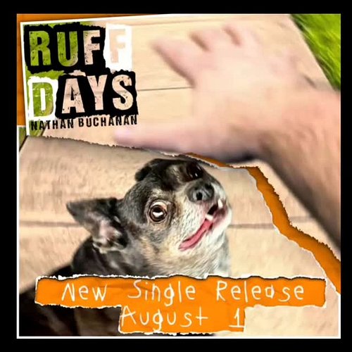 New single alert! Ruff Days to be released August 1st. Album release TBD

#dogsofinstagram #ska #dogdays #summervibes #musicp...