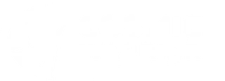 COSMIC WARRIOR