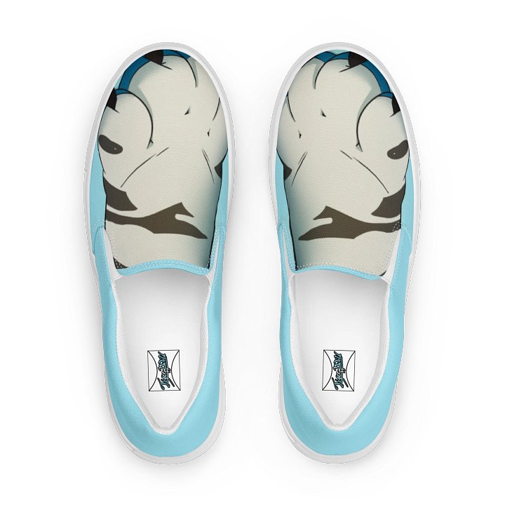 Tiger2Paws Men's Slip-On Canvas Shoes - Blue product image (1)