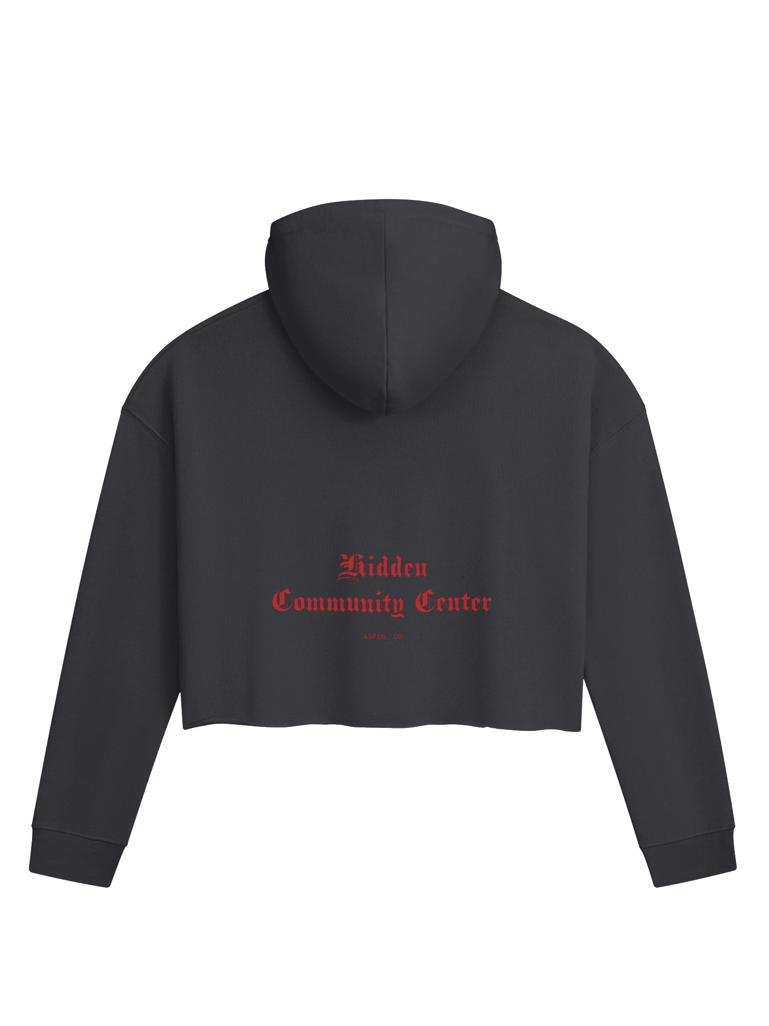 Community Center Hoodie product image (2)