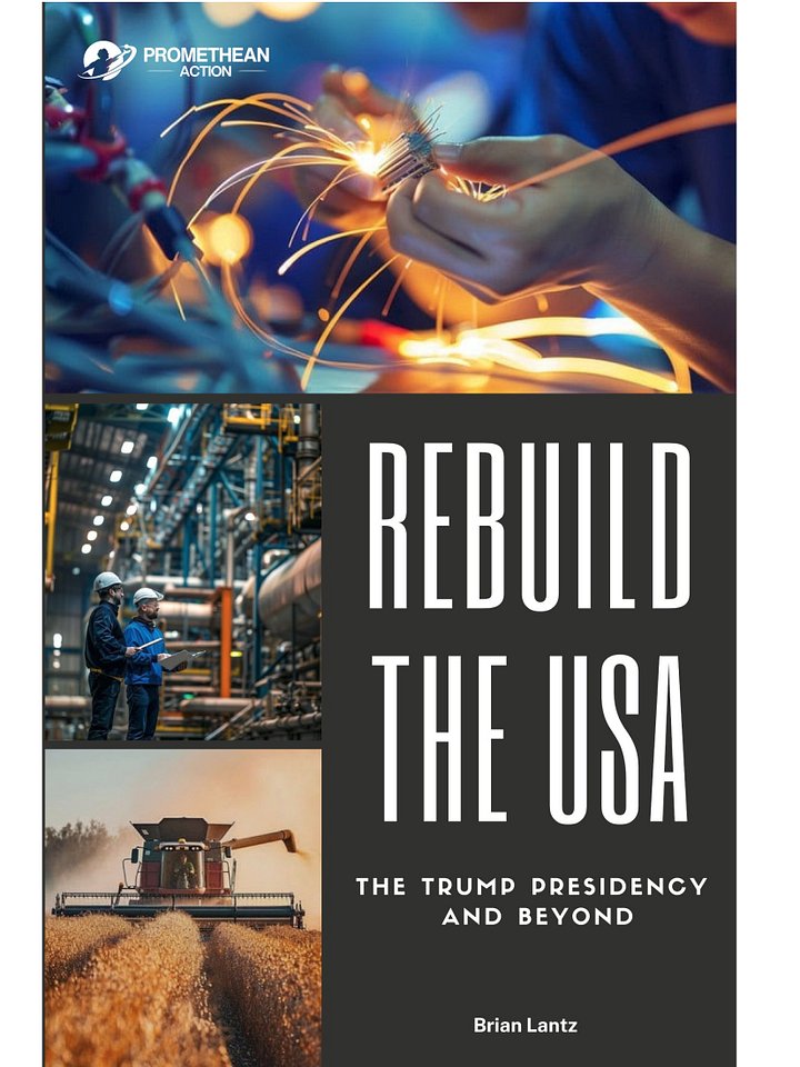 Rebuild the USA: The Trump Presidency and Beyond - Digital Edition (.epub) and (.pdf) product image (1)