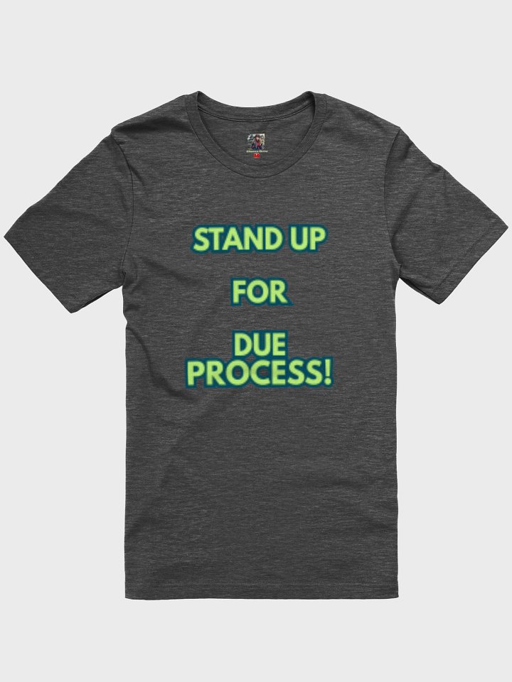 Stand up for Due Process - Due Process Soft T-Shirt product image (10)
