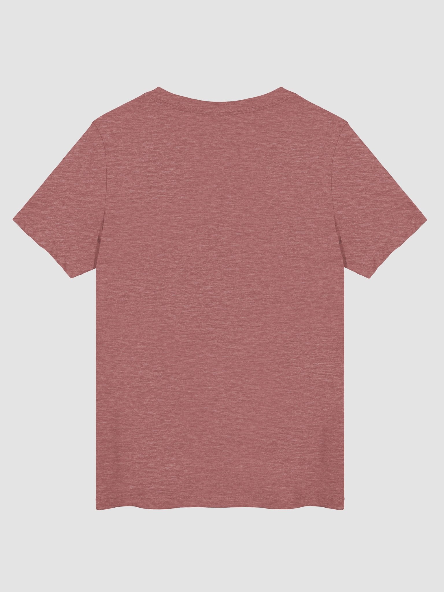 Women's V-neck Shipwrecks and Sea Dogs Logo T-Shirt product image (7)