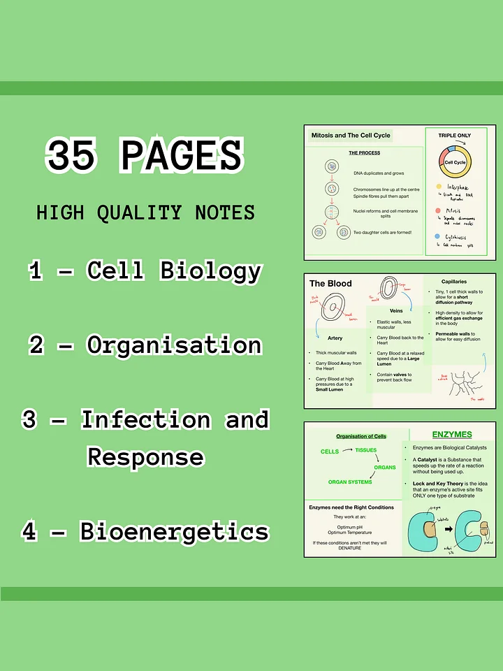 AQA GCSE Biology Paper 2 Revision Notes (25 Pages) | Revision Made Easy product image (2)