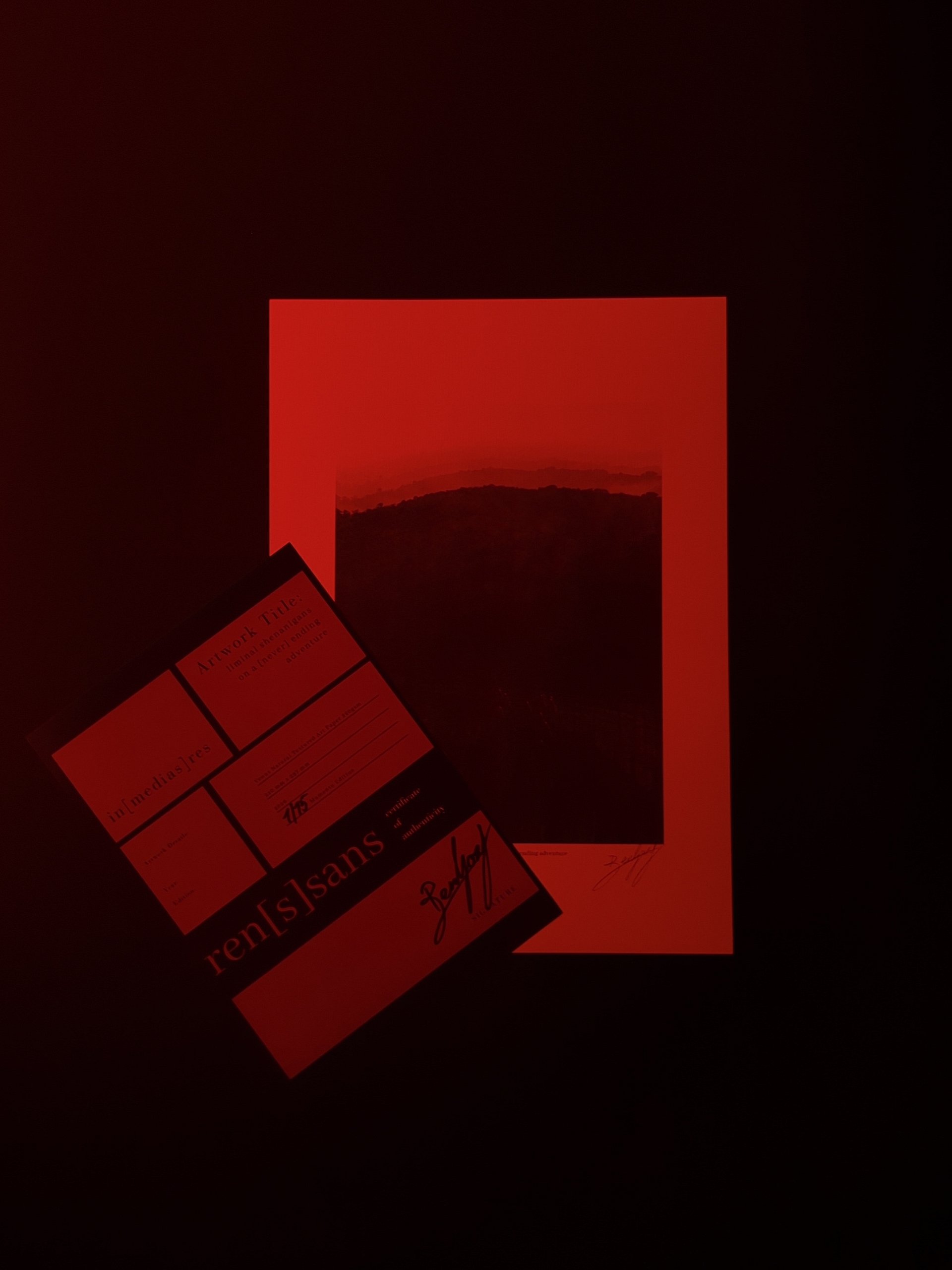 liminal shenanigans on a [never] ending adventure product image (4)