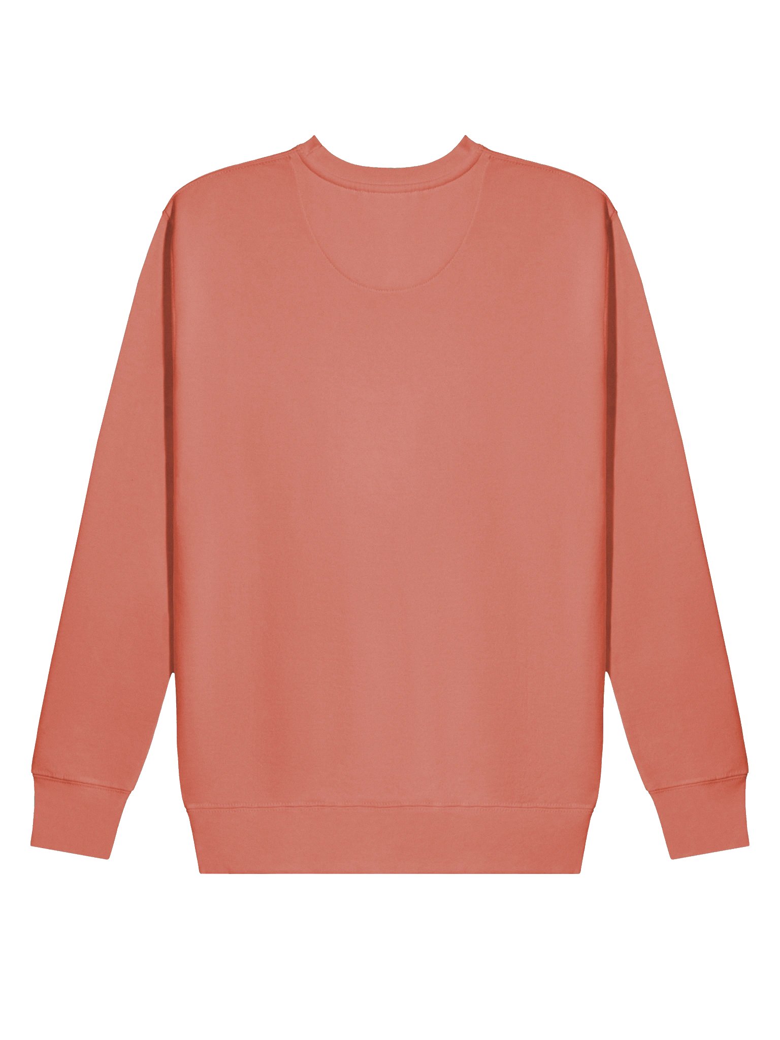 Sweatshirt Stacked Logo Embroidered product image (19)