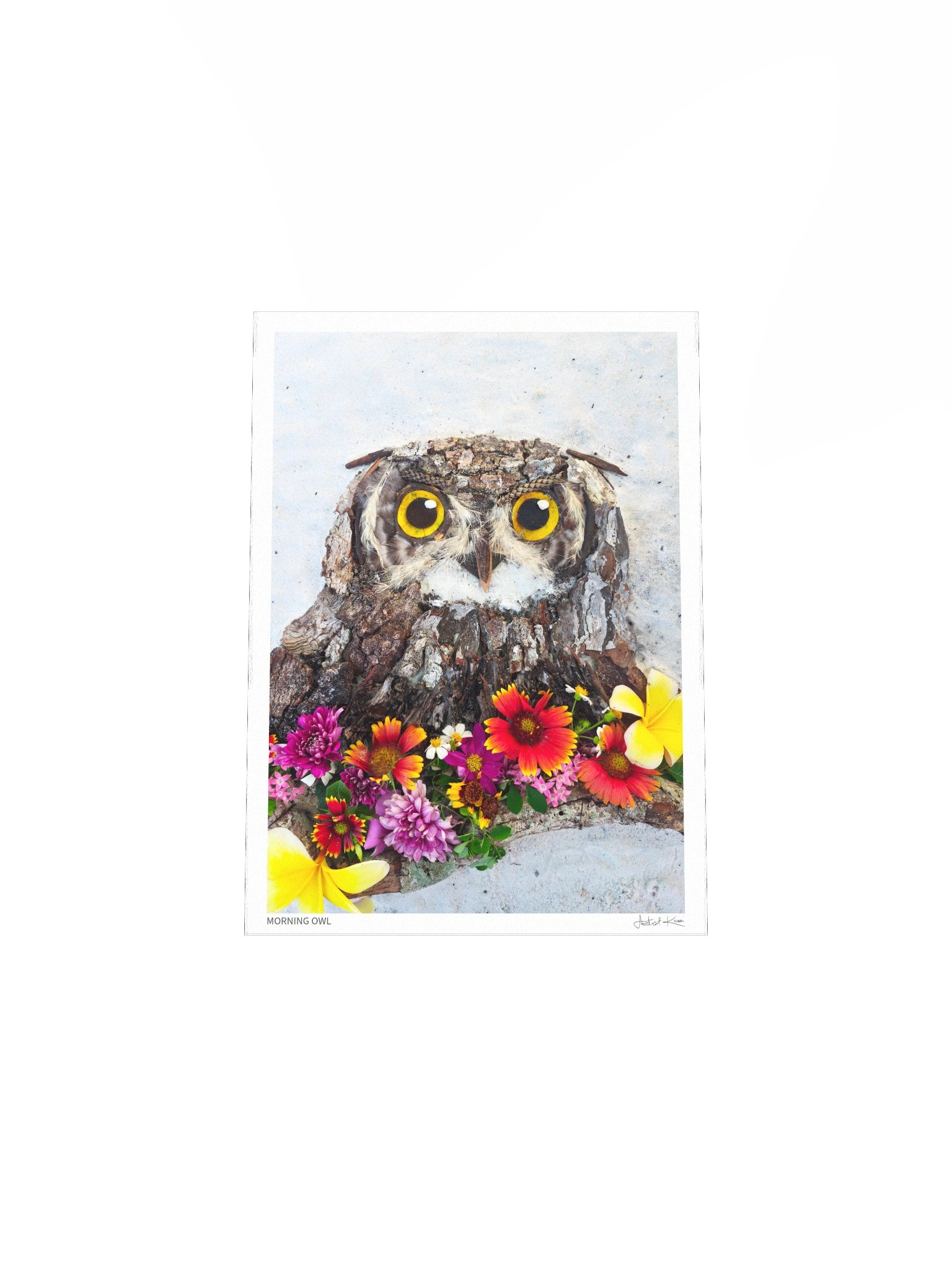 MORNING OWL | Fine Art Print product image (5)