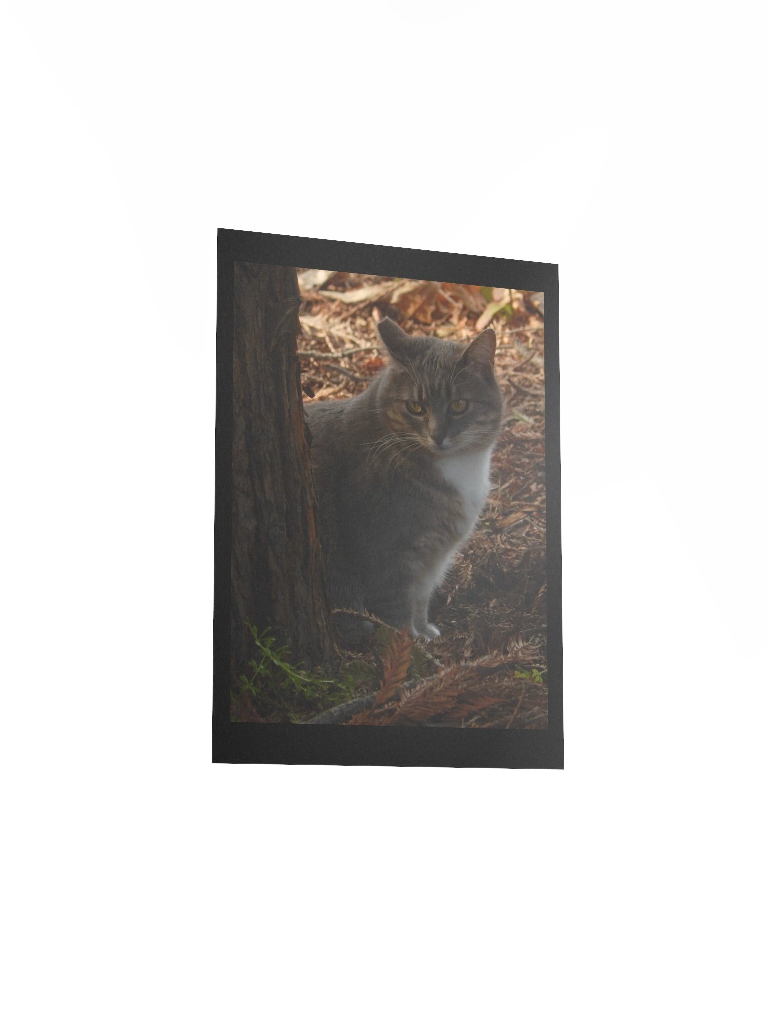 Forest Kitty product image (6)