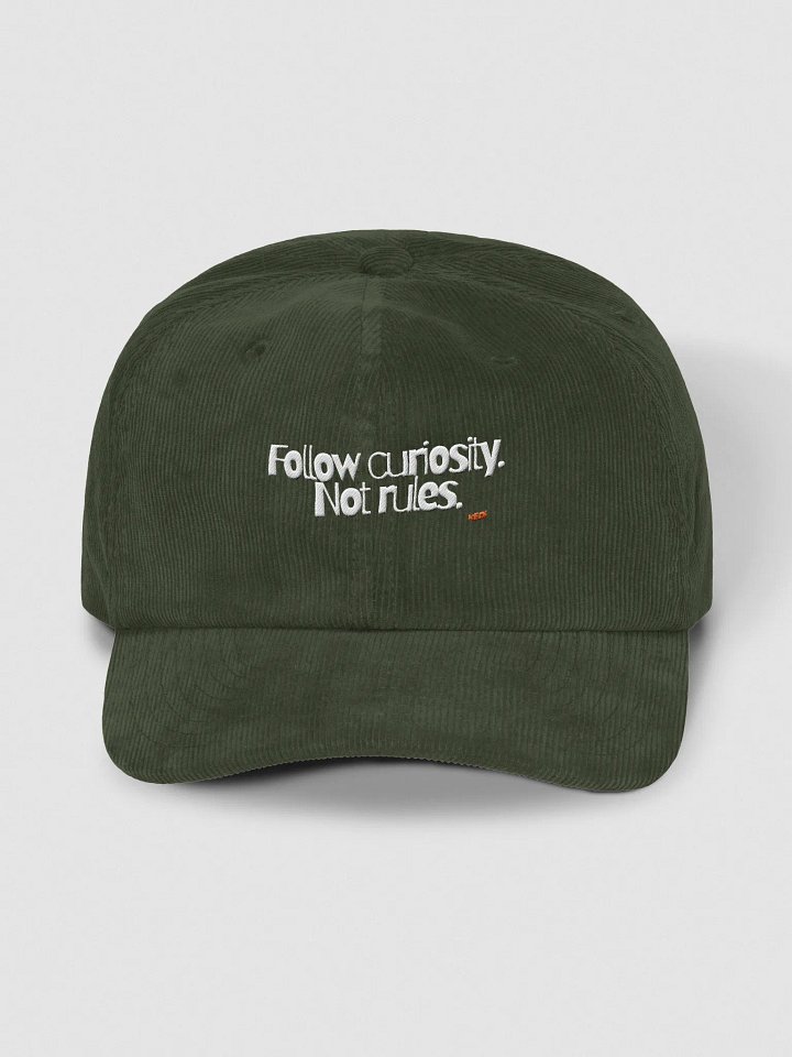Cat Wisdom "Follow curiosity. Not Rules" Embroidered Corduroy Dad Hat product image (17)