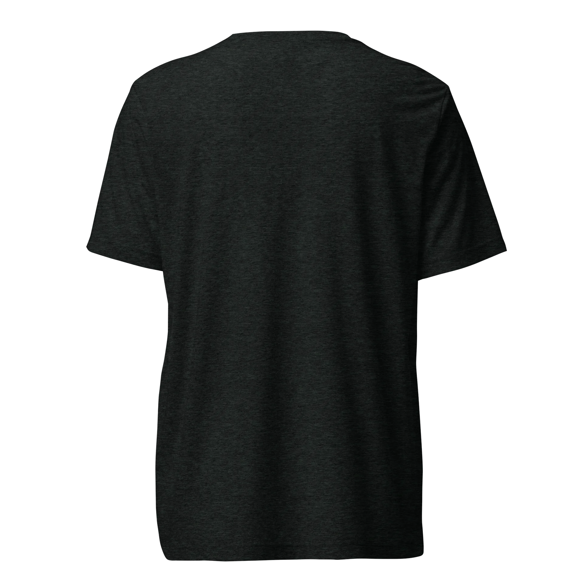 2026 Collection Triblend Tee - Dark product image (4)