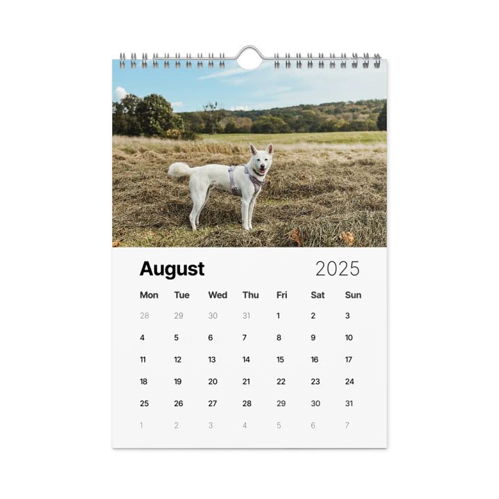 Eli's Favorite 2025 Calendar product image (2)