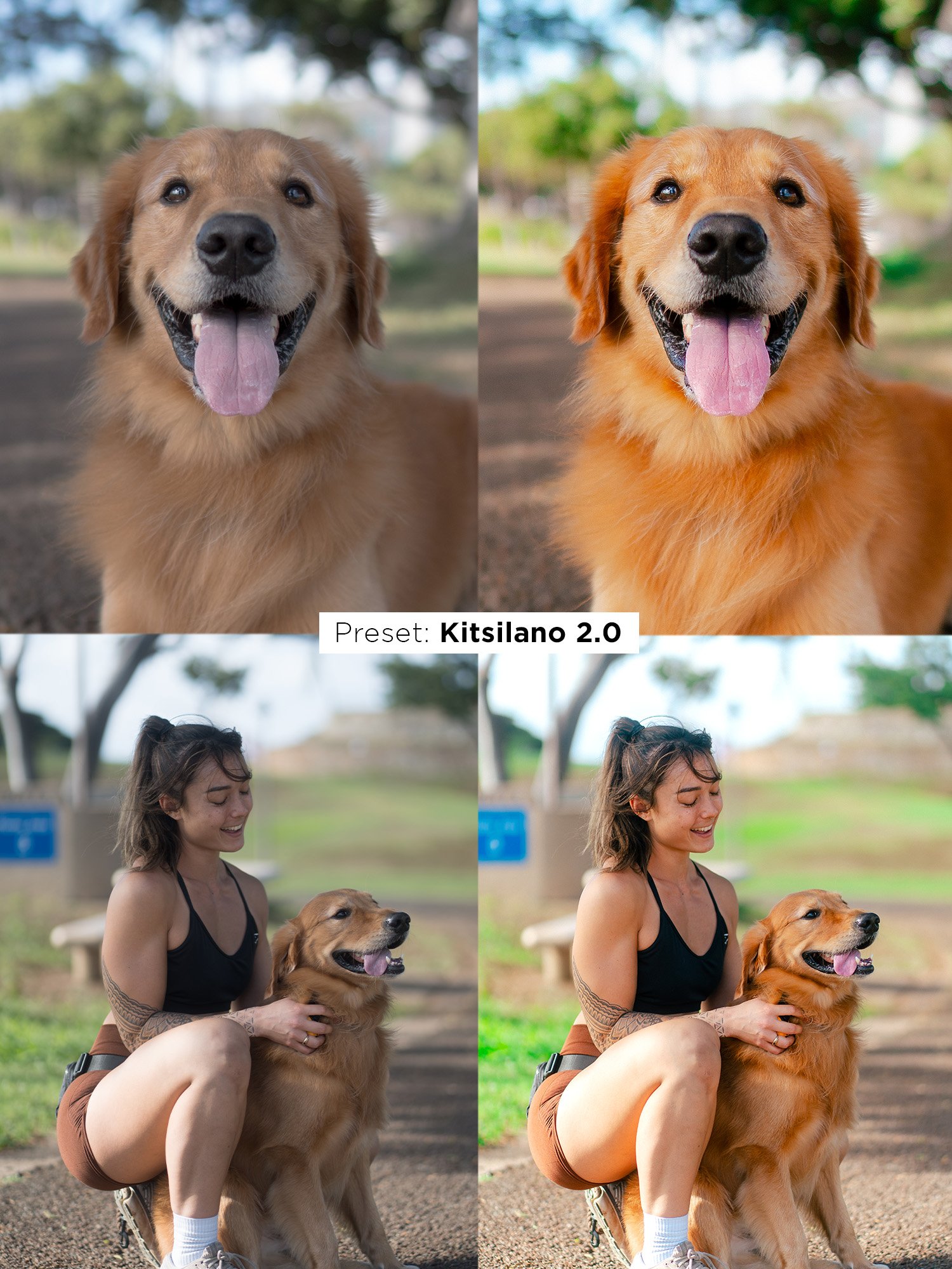 Ultimate Preset Bundle product image (9)