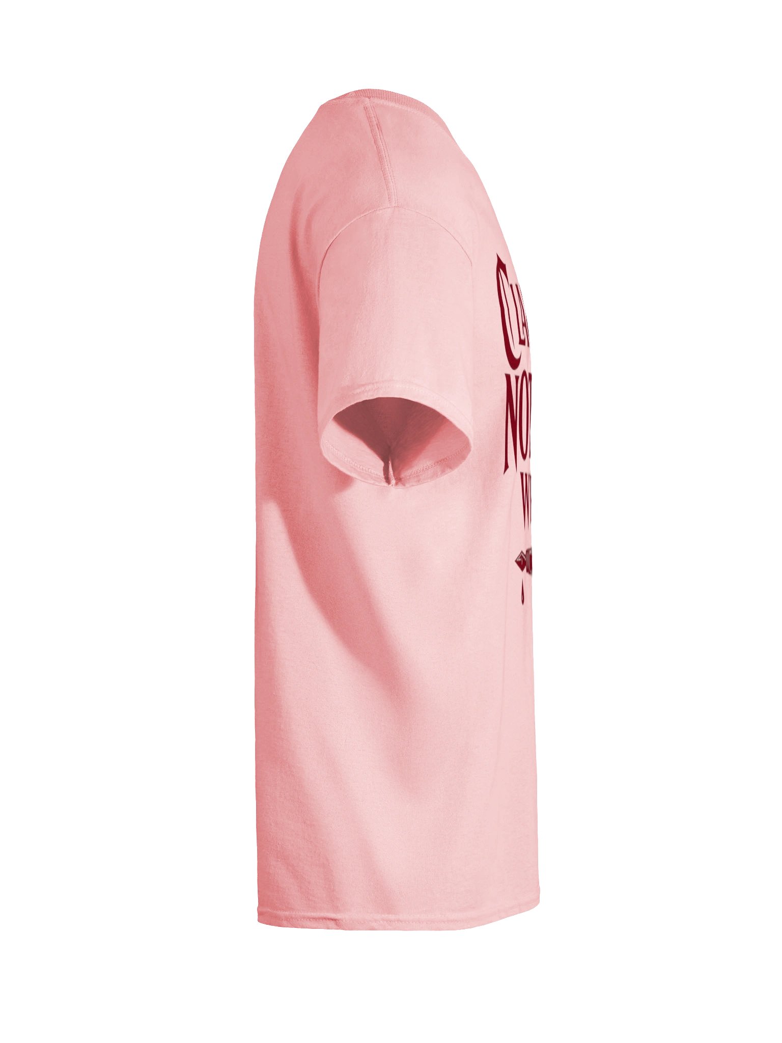 Dear Diary product image (10)