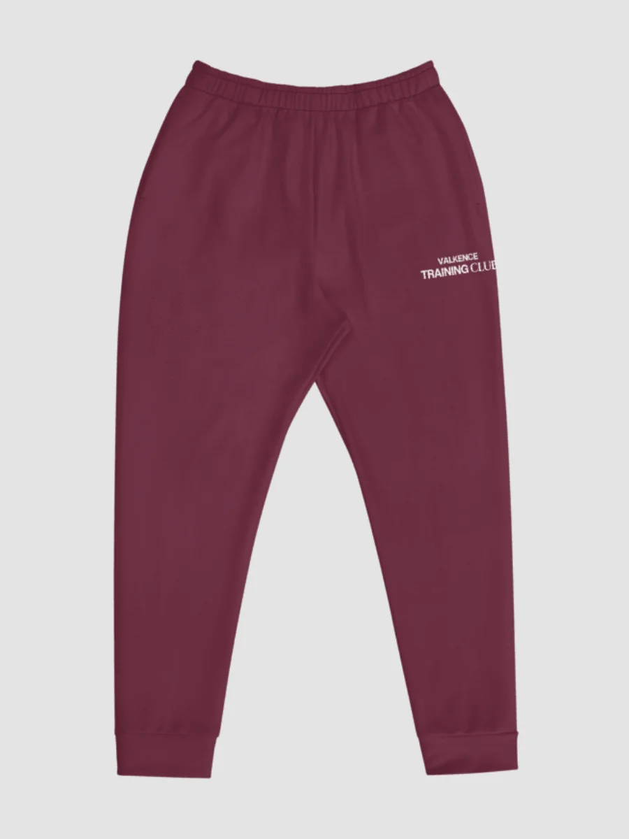 Training Club Joggers - Plum product image (5)