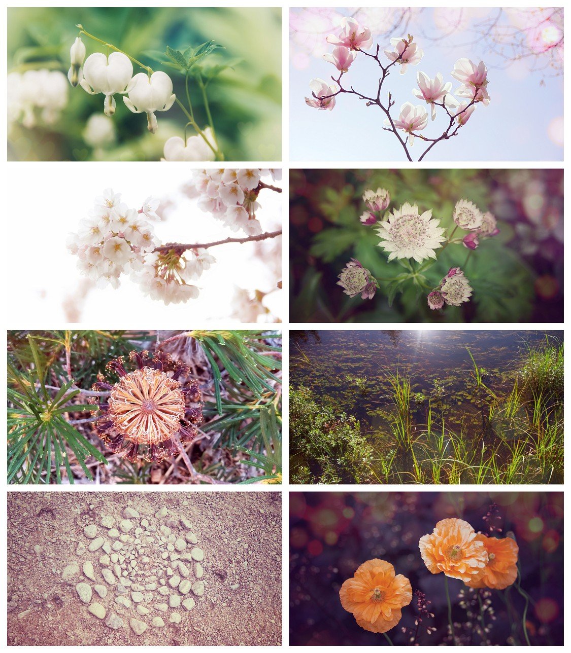 Intimate Nature | The Divine Mirror Desktop Wallpaper Collection product image (2)