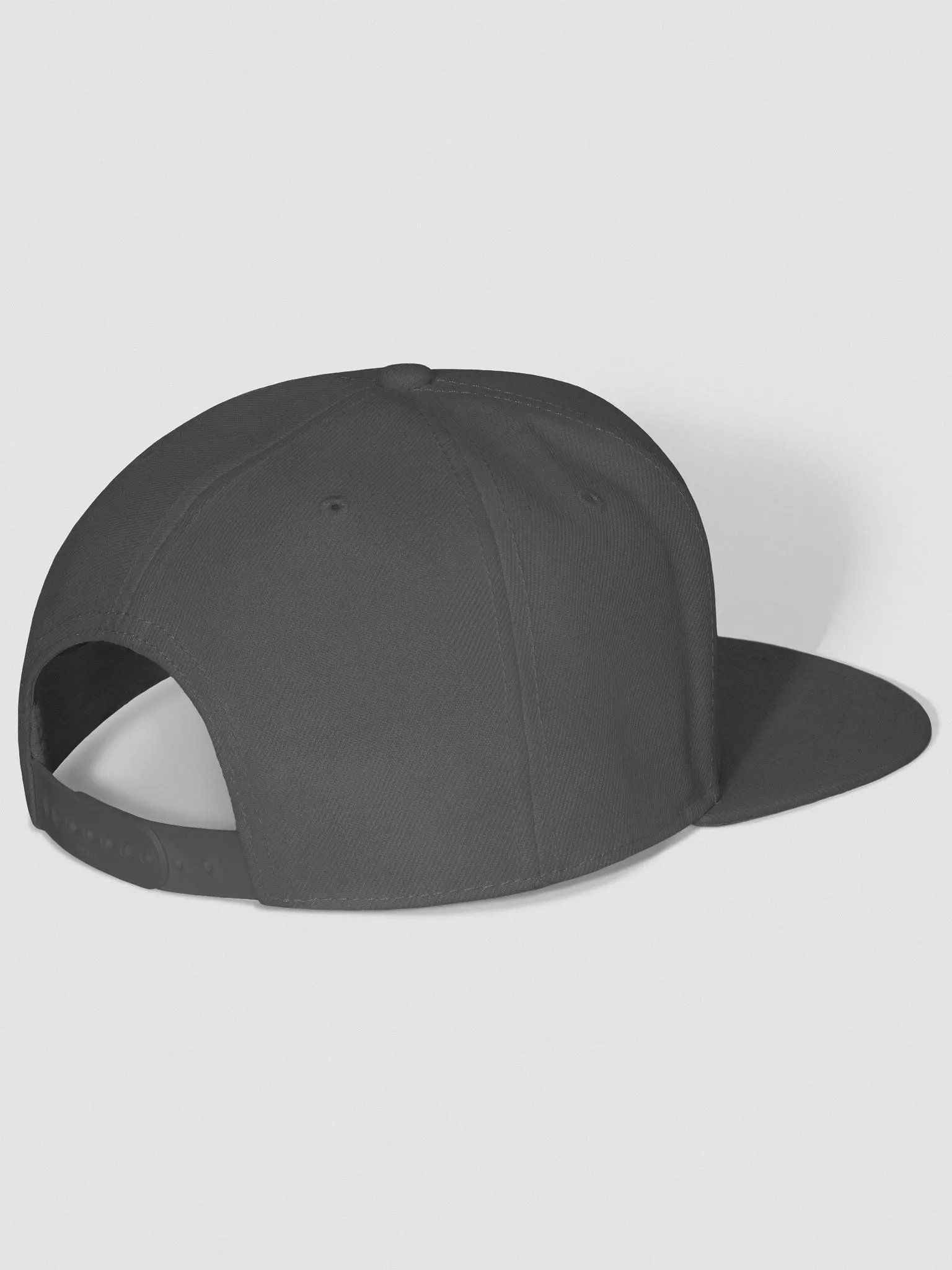 Dedicated Snapback White/Charcoal Grey product image (3)