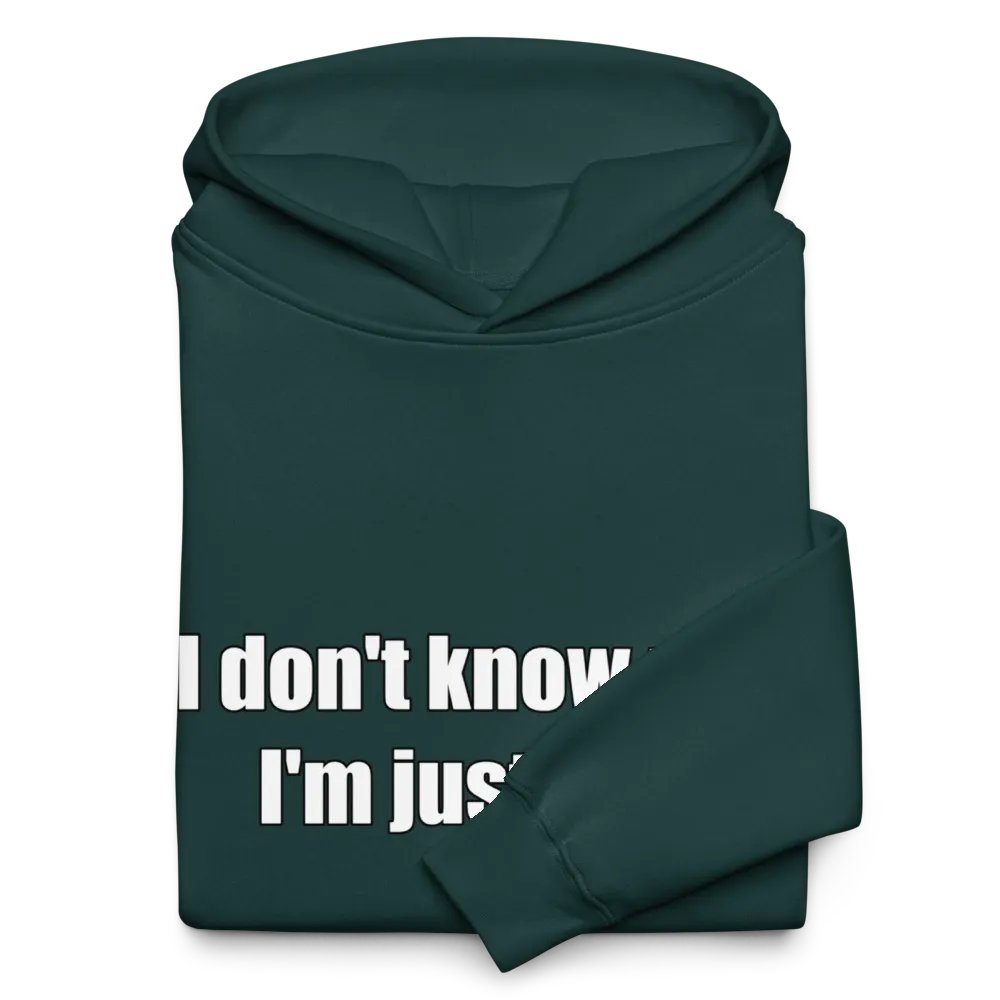Just Here Premium Hoodie product image (10)
