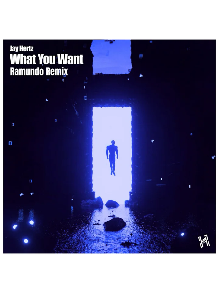Jay Hertz - What You Want (Ramundo Remix) product image (1)