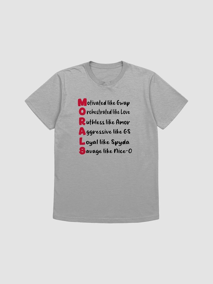 MORALS Gray T-shirt product image (1)