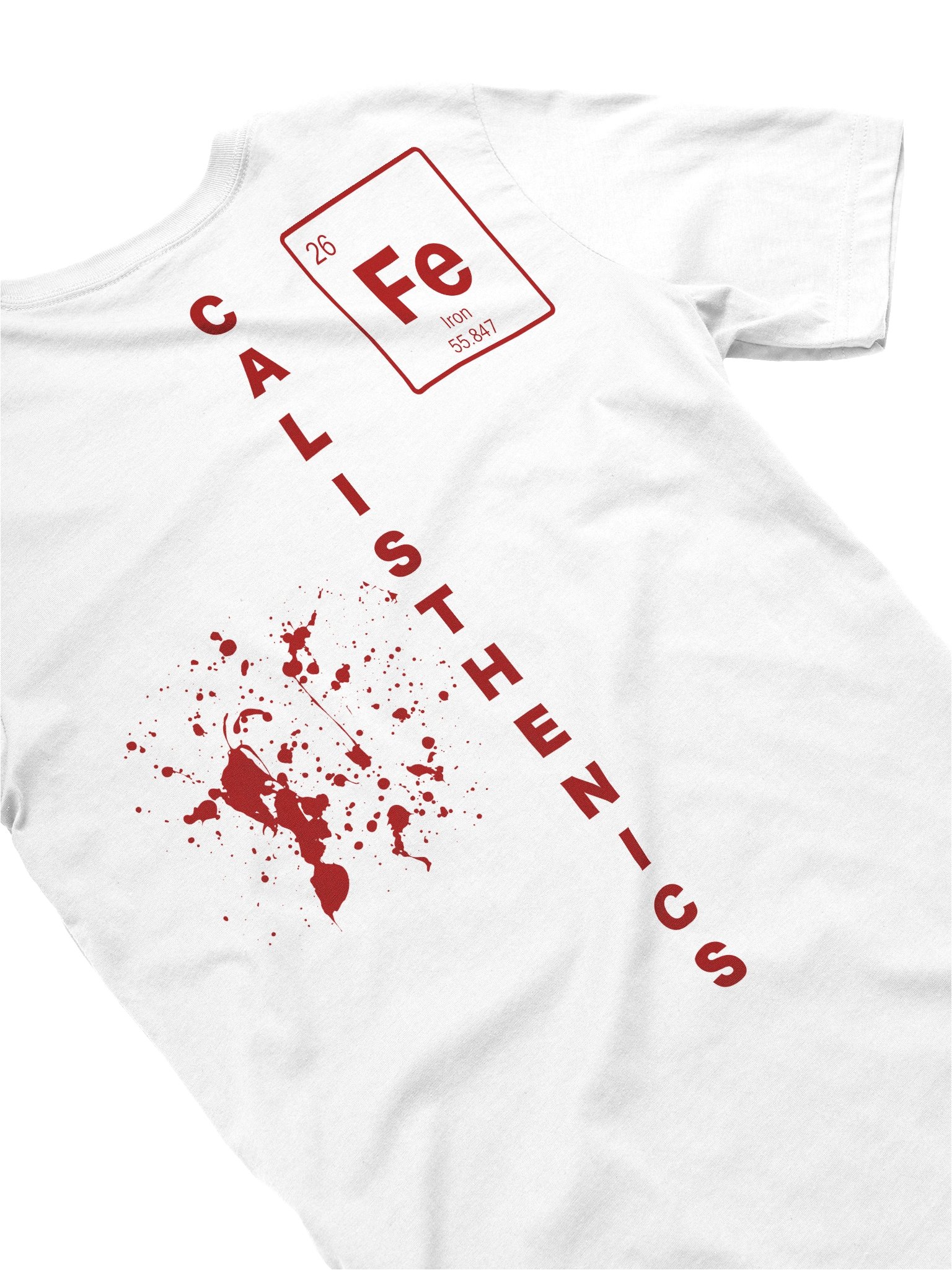 Calisthenics T-Shirt Blood & Iron product image (4)