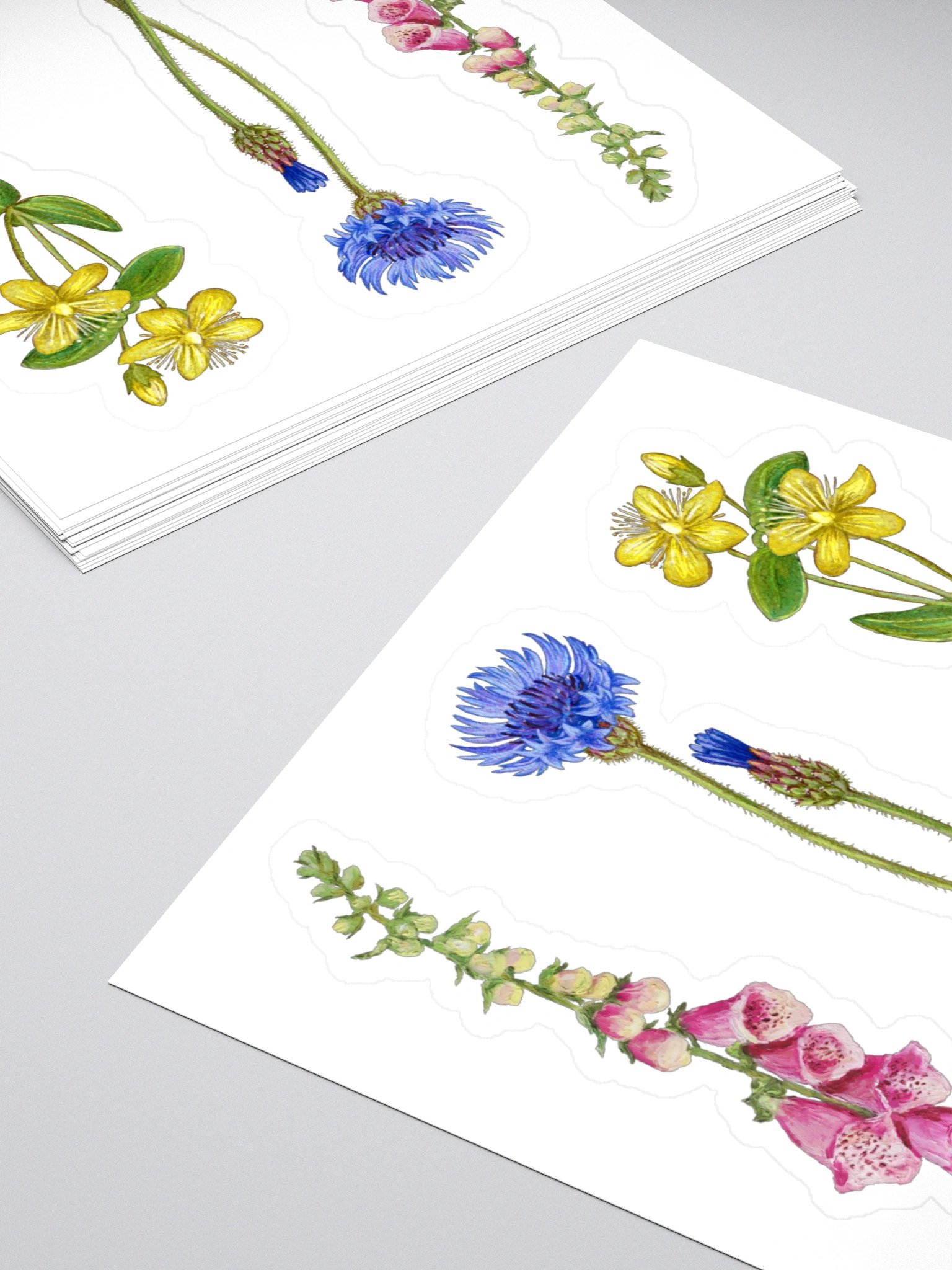 Botanical illustrations stickers product image (1)