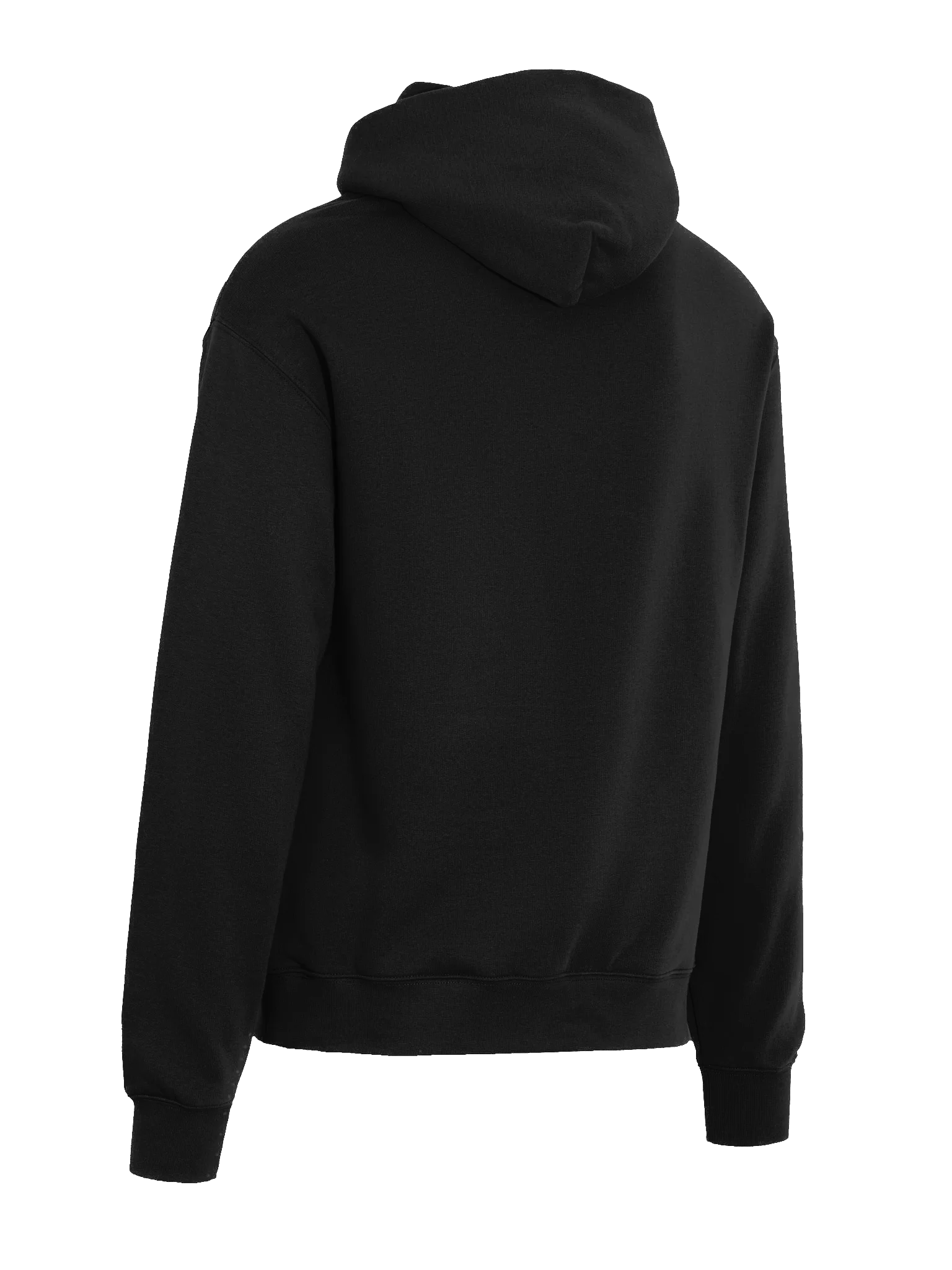 Outside in Idaho Logo Unisex Hoodie product image (5)