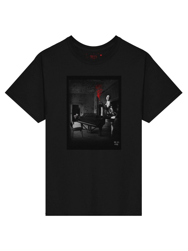 ASHES product image (1)